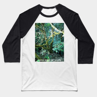 Garayonay National Park La gomera island Baseball T-Shirt